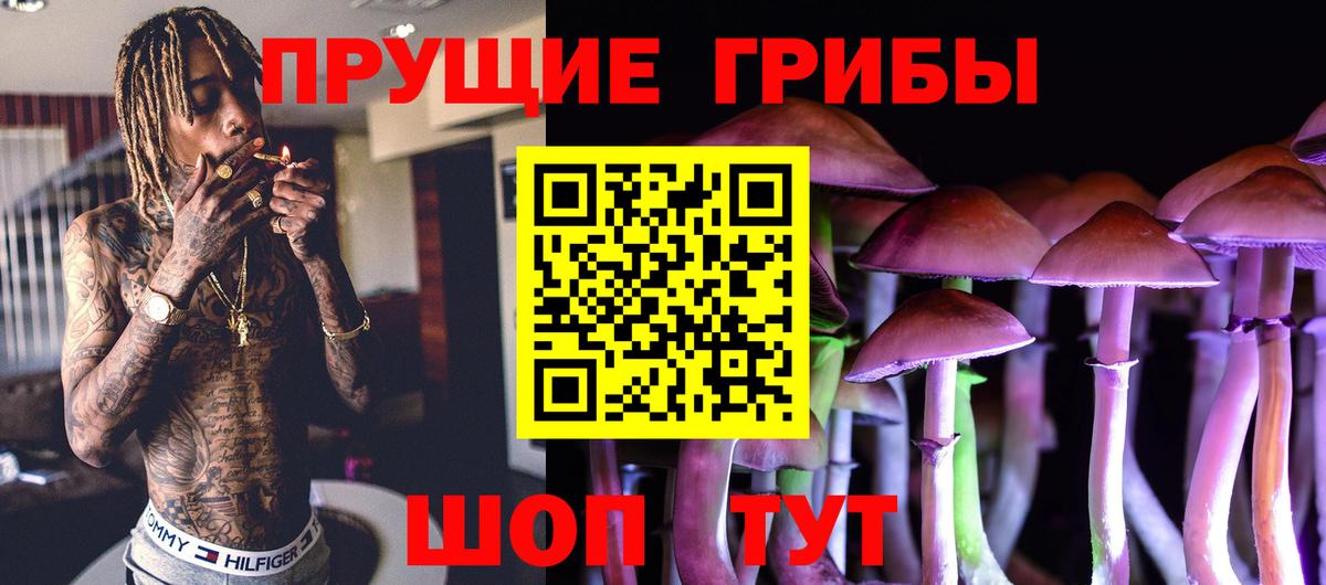 Кунгур  Галлюциногенные грибы GOLDEN TEACHER  Вход с VPN 